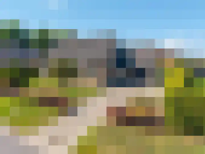 Ronkelskamp 32 Annen