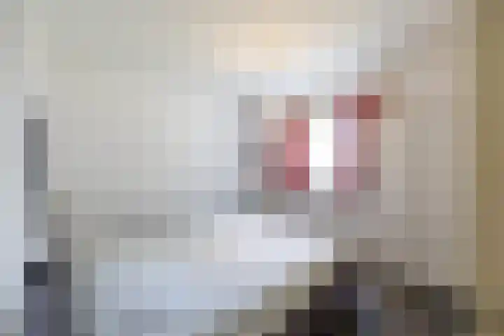 Ronkelskamp 32 Annen thumbnail 11