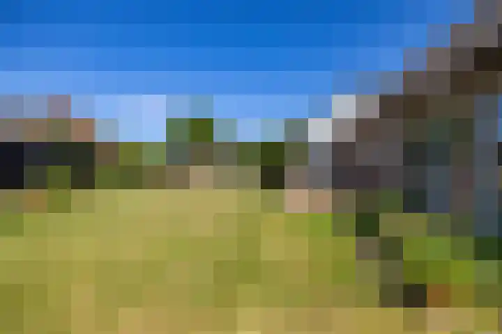 Ronkelskamp 32 Annen thumbnail 35