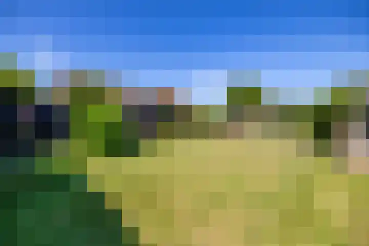 Ronkelskamp 32 Annen thumbnail 36