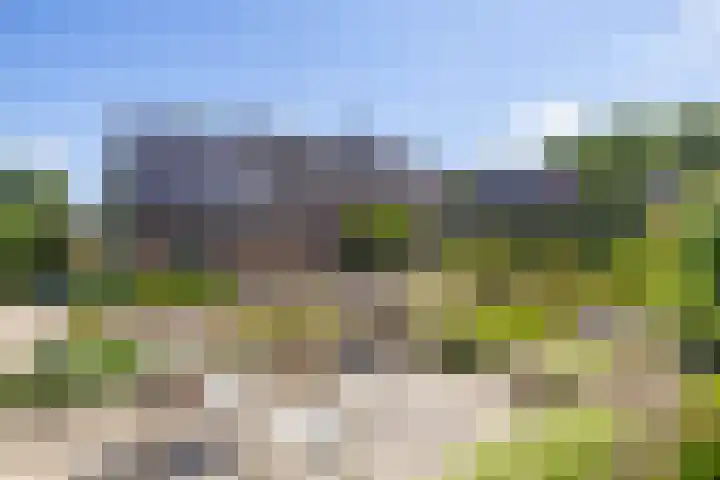 Ronkelskamp 32 Annen thumbnail 38