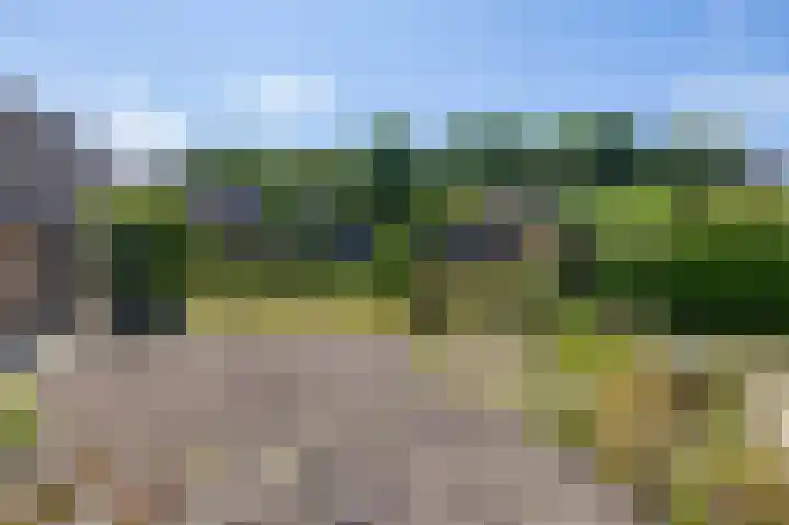 Ronkelskamp 32 Annen thumbnail 39