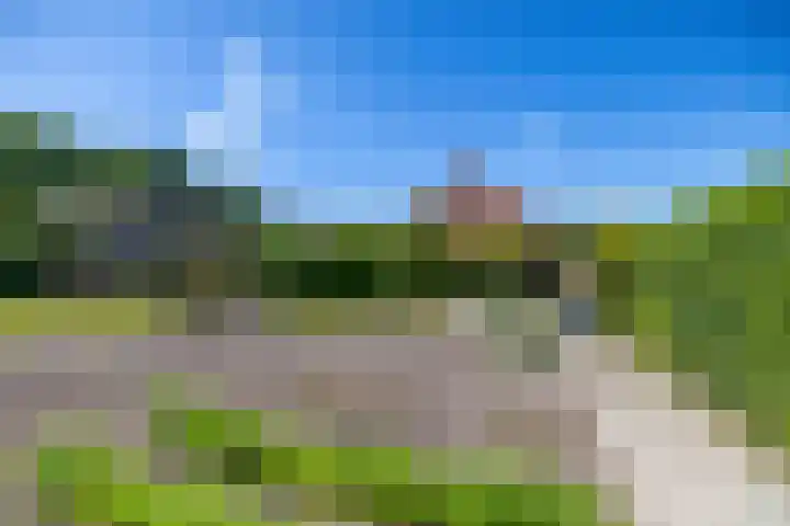 Ronkelskamp 32 Annen thumbnail 40