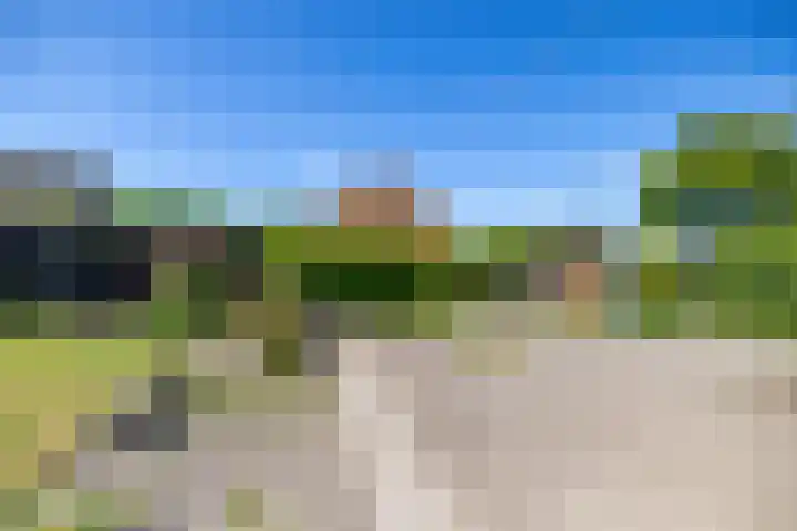 Ronkelskamp 32 Annen thumbnail 41
