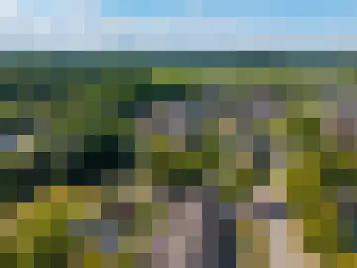 Ronkelskamp 32 Annen thumbnail 43