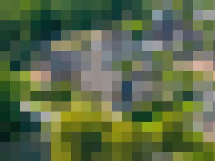 Ronkelskamp 32 Annen thumbnail 44