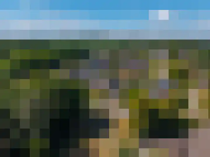 Ronkelskamp 32 Annen thumbnail 46