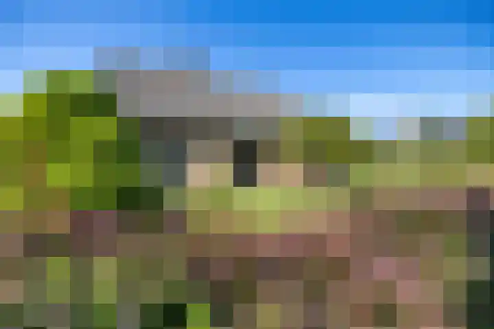 Ronkelskamp 32 Annen thumbnail 5