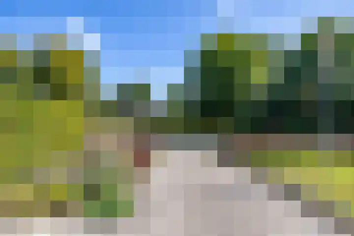 Ronkelskamp 32 Annen thumbnail 6