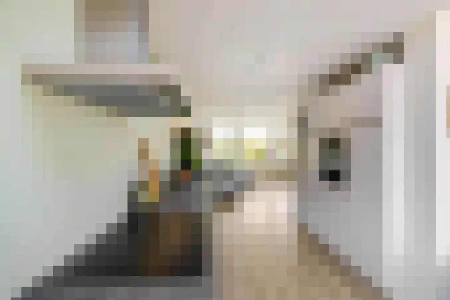 Ronkelskamp 4 Annen thumbnail 14