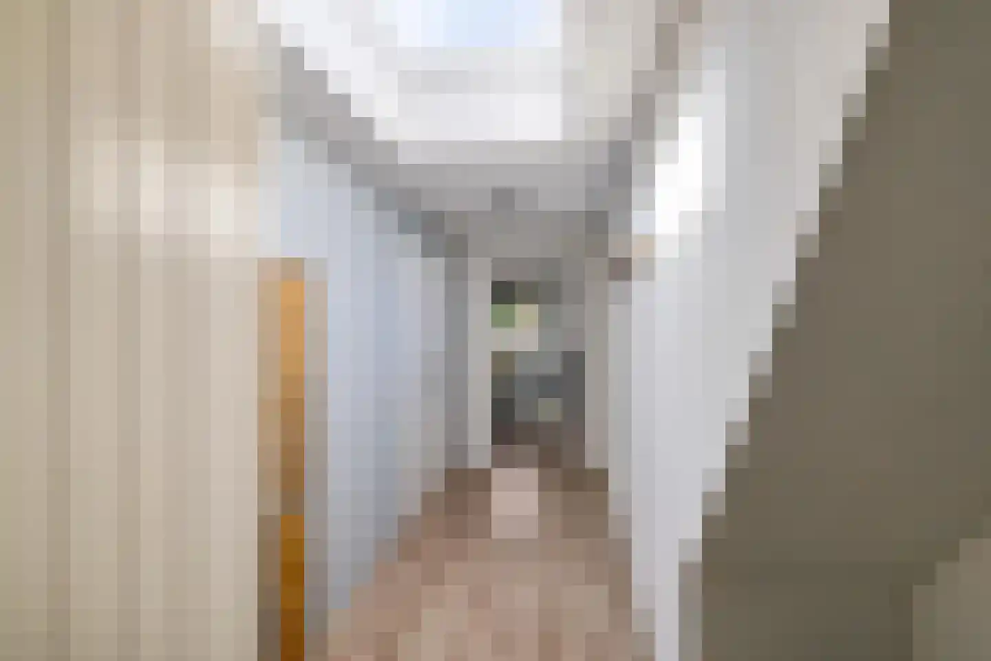 Ronkelskamp 4 Annen thumbnail 23
