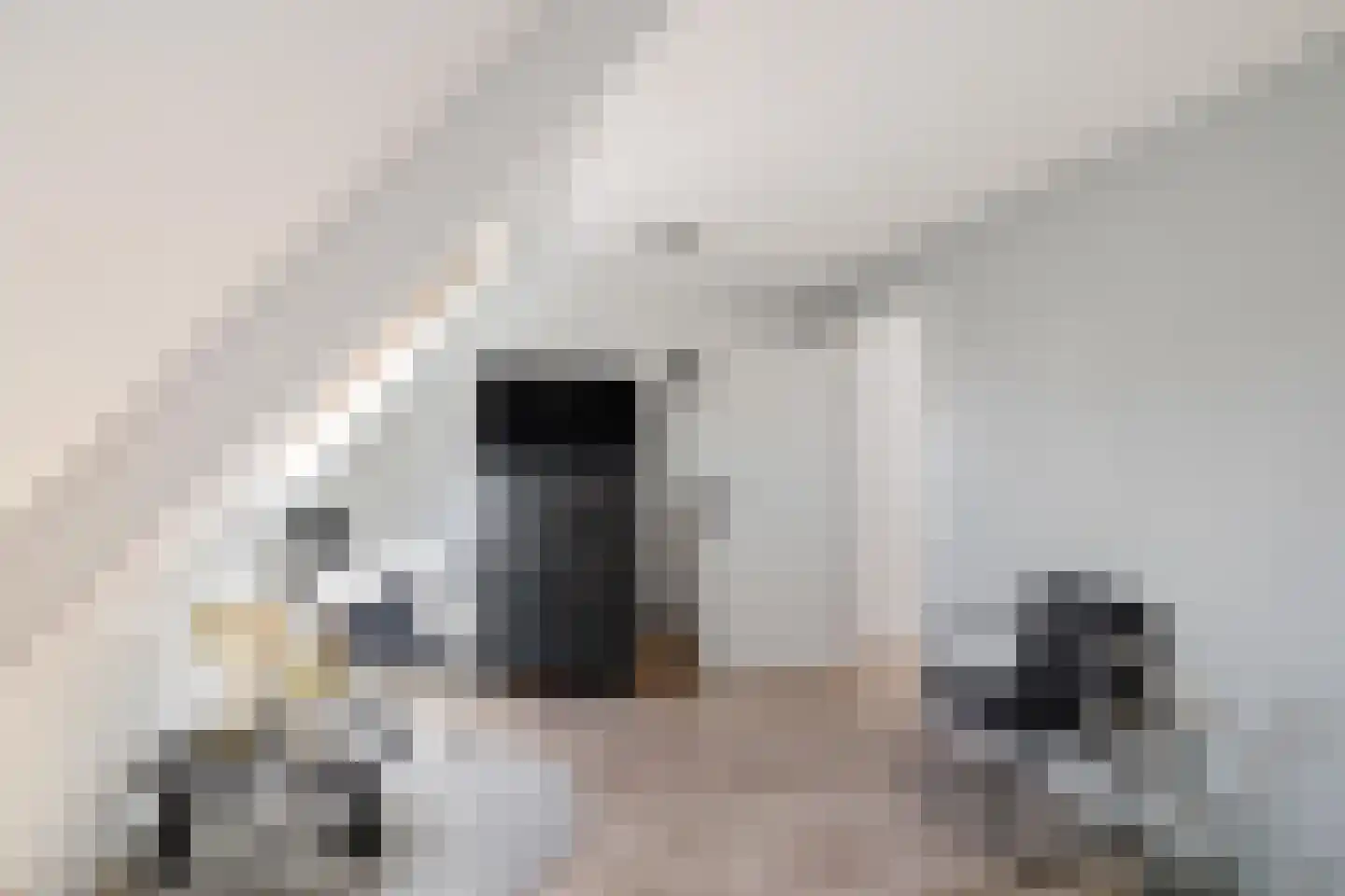 Ronkelskamp 4 Annen thumbnail 35