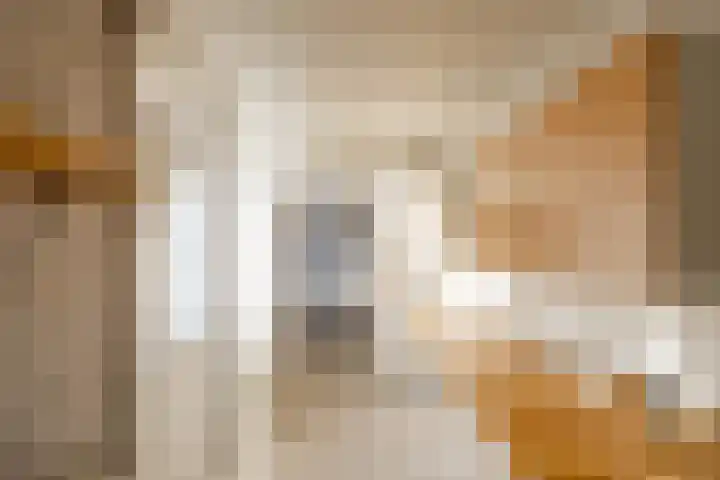 Ronkelskamp 45 Annen thumbnail 11