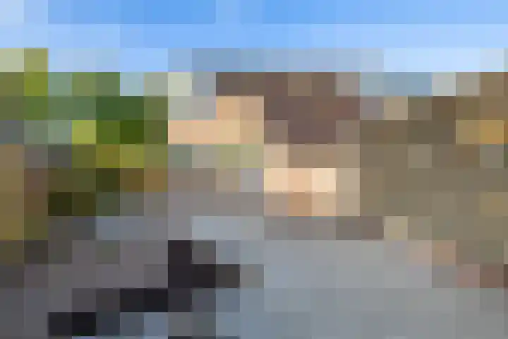 Ronkelskamp 45 Annen thumbnail 22
