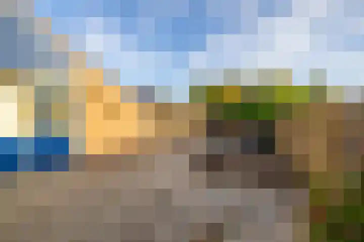 Ronkelskamp 45 Annen thumbnail 23