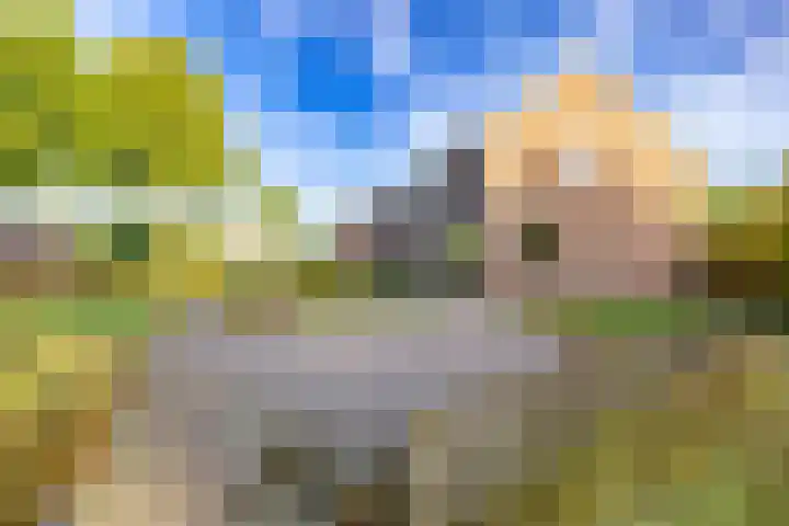 Ronkelskamp 45 Annen thumbnail 24