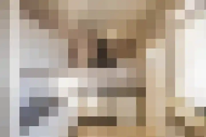 Ronkelskamp 45 Annen thumbnail 8