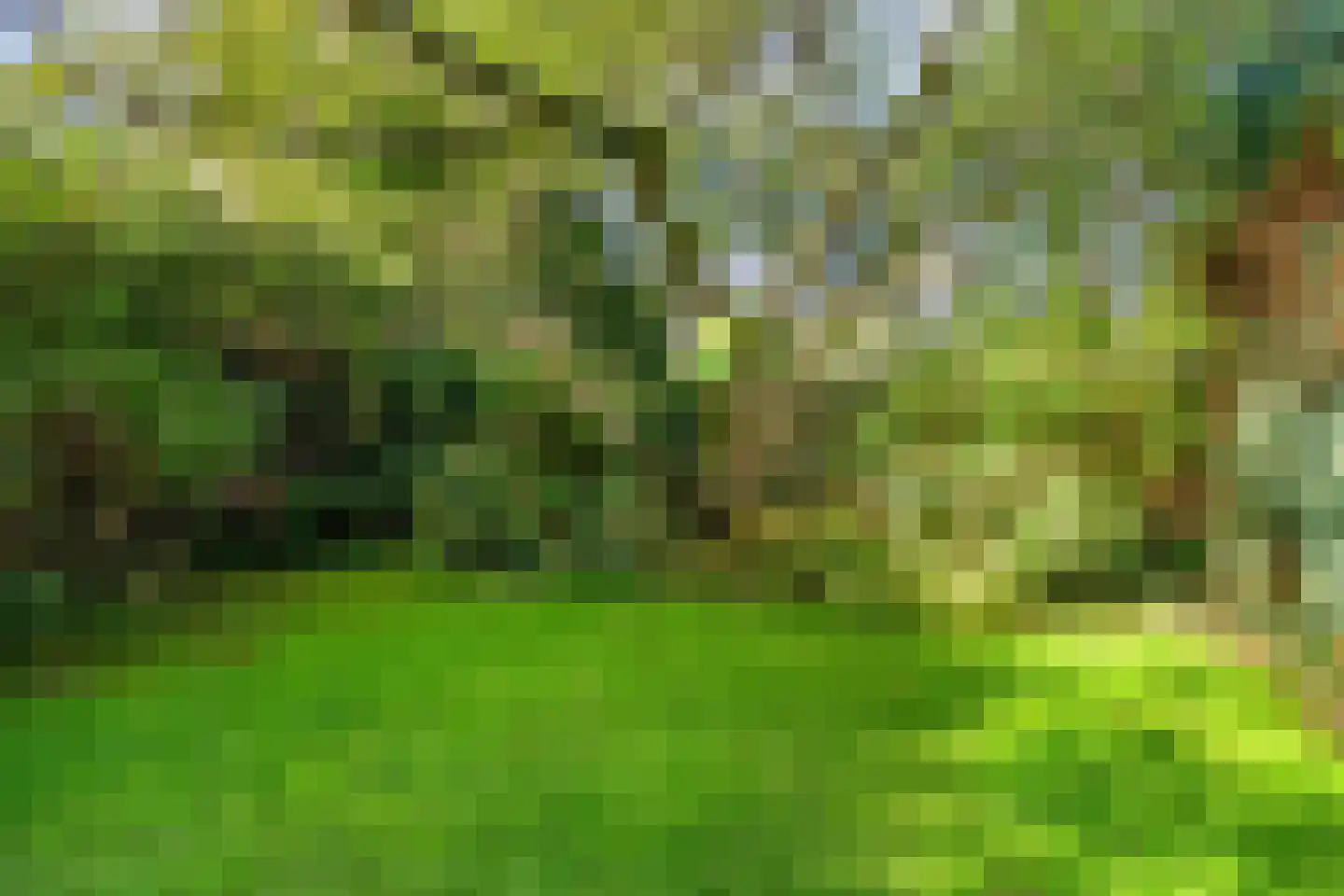 Ronkelskamp 89 Annen thumbnail 38