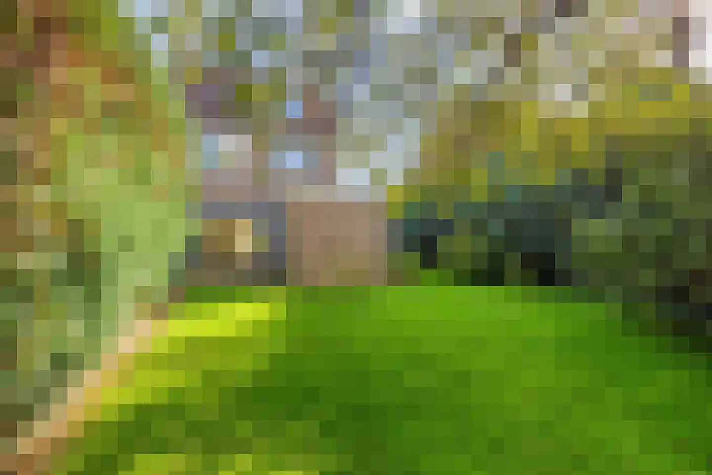 Ronkelskamp 89 Annen thumbnail 39