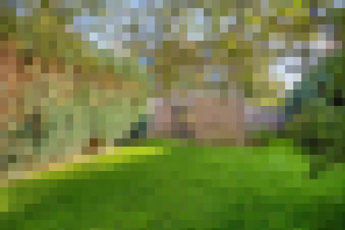 Ronkelskamp 89 Annen thumbnail 40