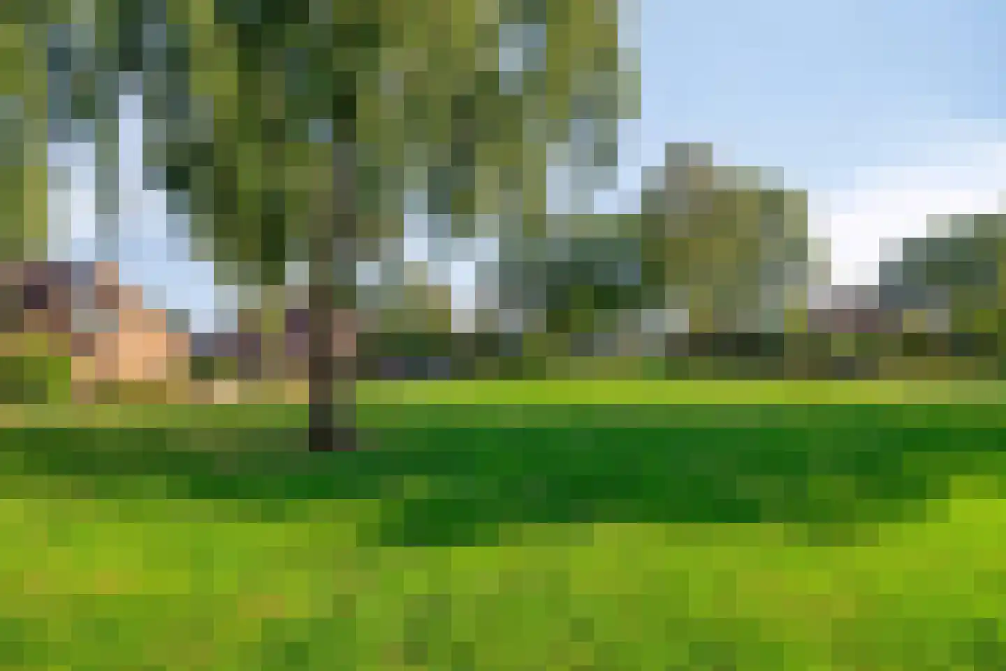 Ronkelskamp 89 Annen thumbnail 49