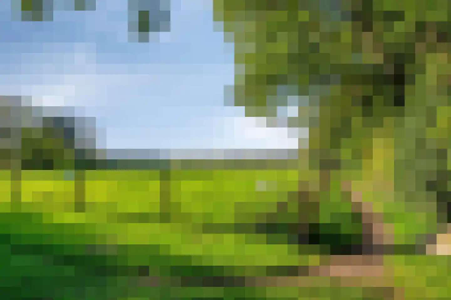 Ronkelskamp 89 Annen thumbnail 50