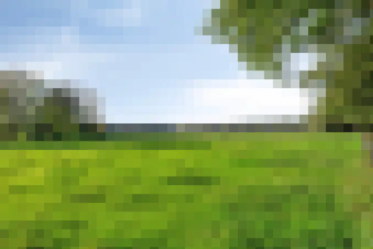Ronkelskamp 89 Annen thumbnail 51