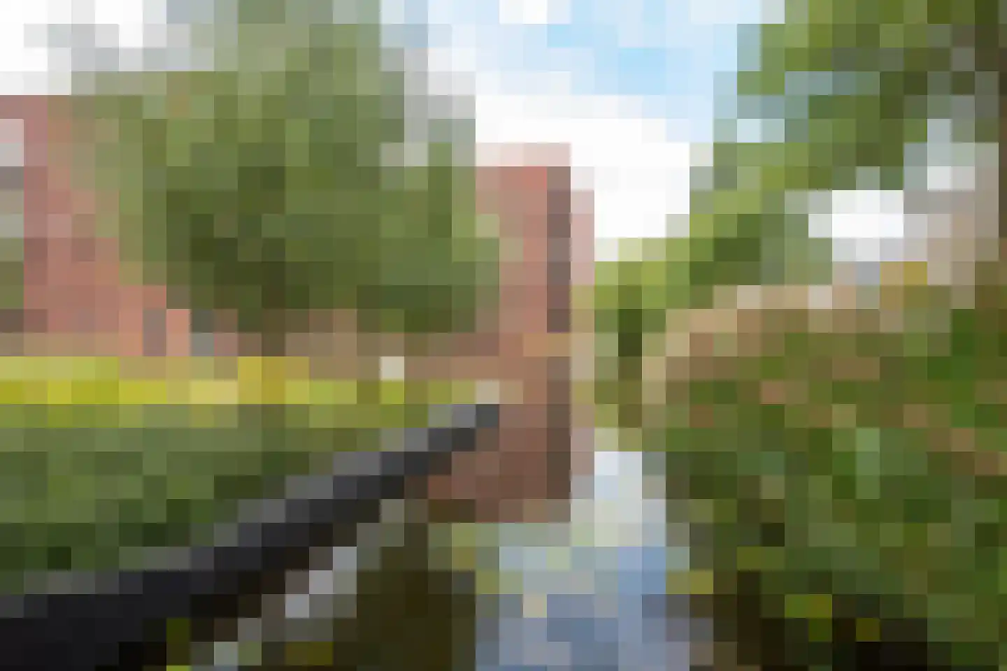 Ronsseweg 1 603 Gouda thumbnail 64