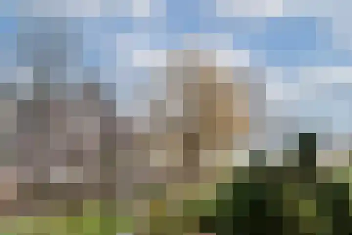 Ronsseweg 153 Gouda thumbnail 28
