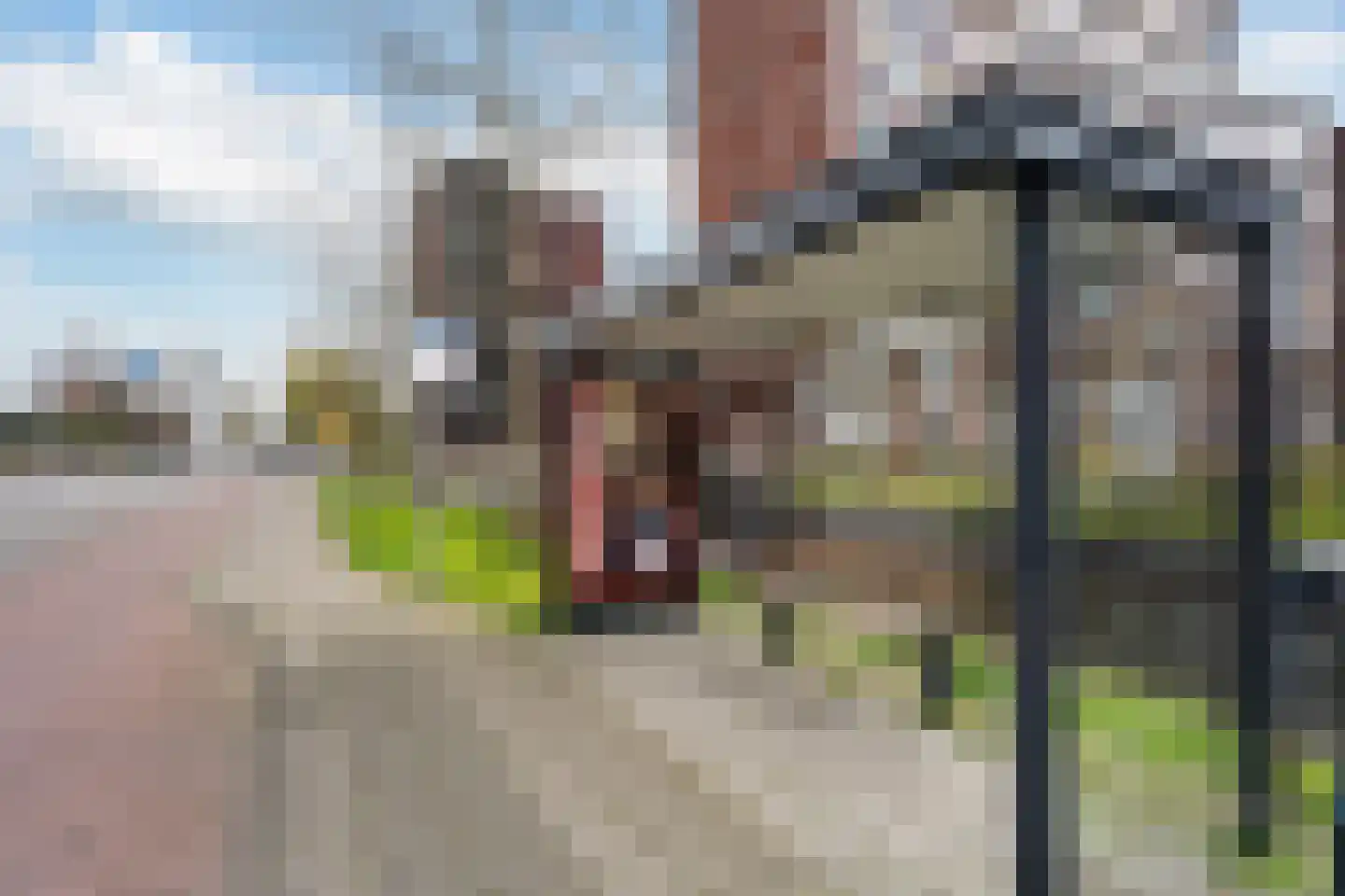 Ronsseweg 20 Gouda thumbnail 30
