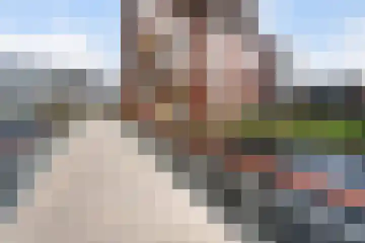 Ronsseweg 20 Gouda thumbnail 33