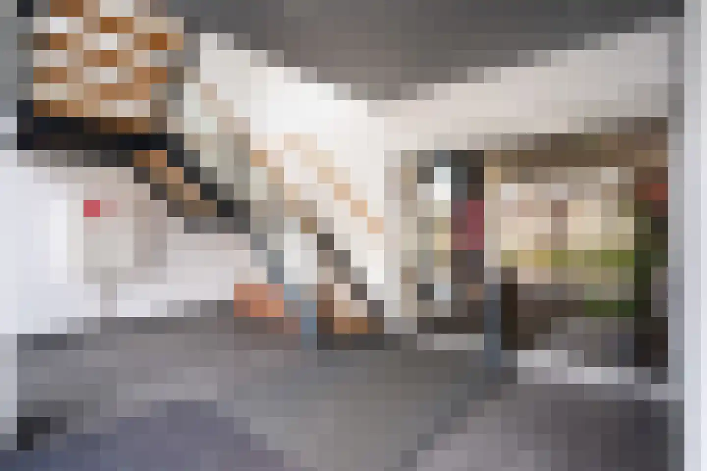 Ronsseweg 20 Gouda thumbnail 7