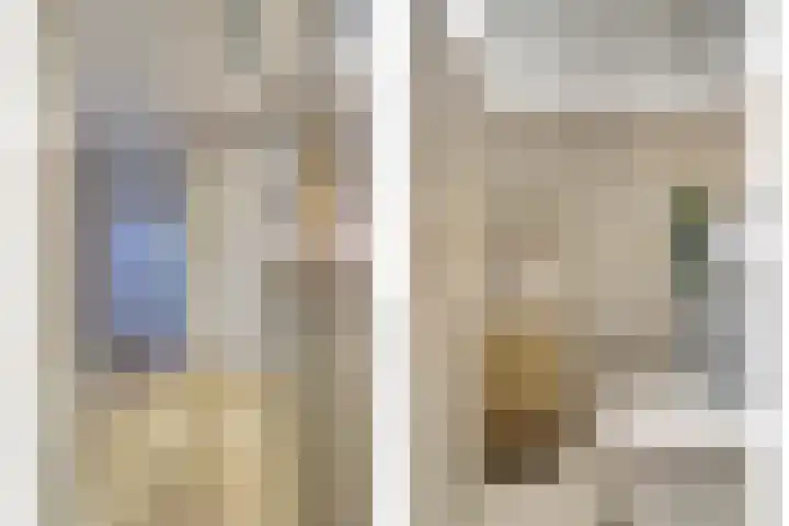 Ronsseweg 209 Gouda thumbnail 9