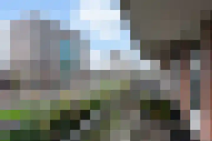 Ronsseweg 217 f Gouda thumbnail 31