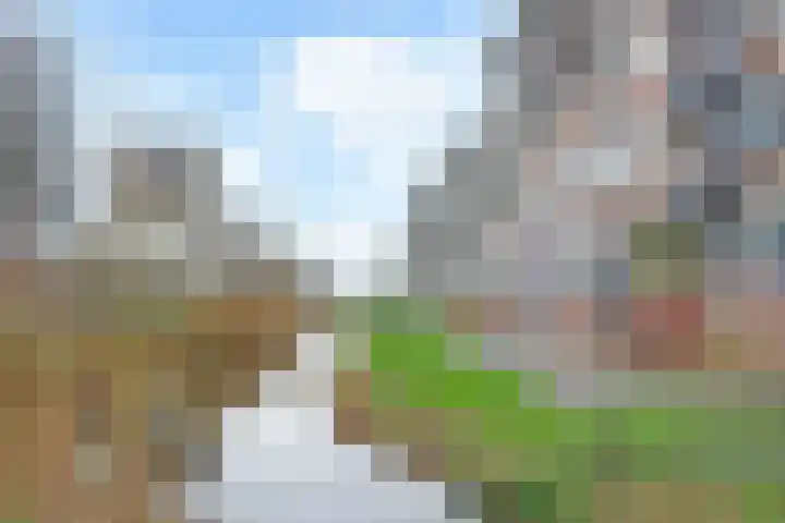 Ronsseweg 217 f Gouda thumbnail 32