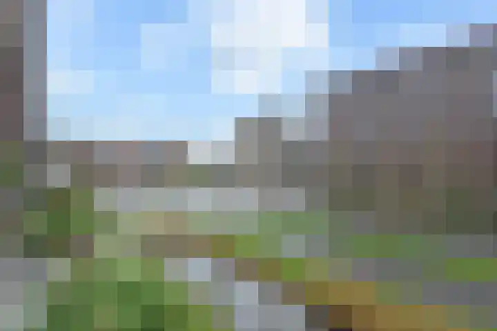 Ronsseweg 217 f Gouda thumbnail 35