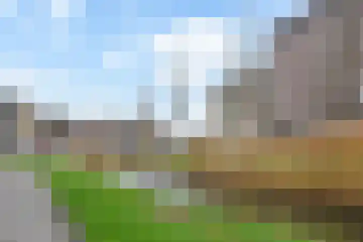 Ronsseweg 217 f Gouda thumbnail 36