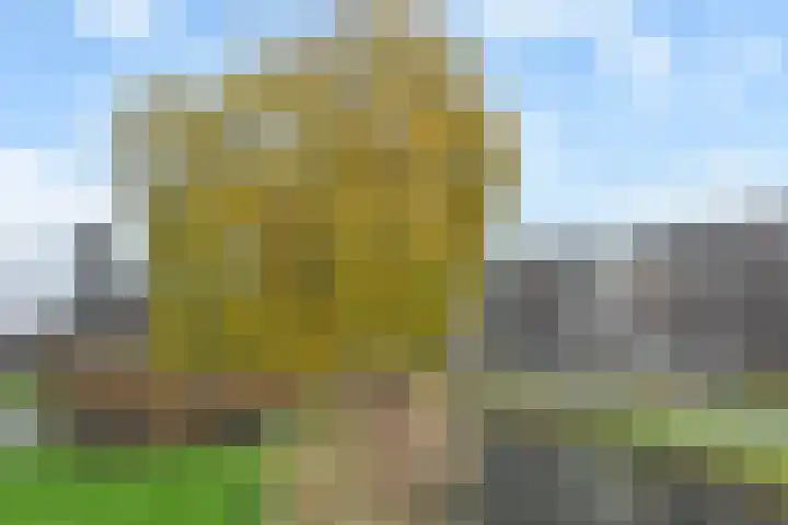 Ronsseweg 217 f Gouda thumbnail 38
