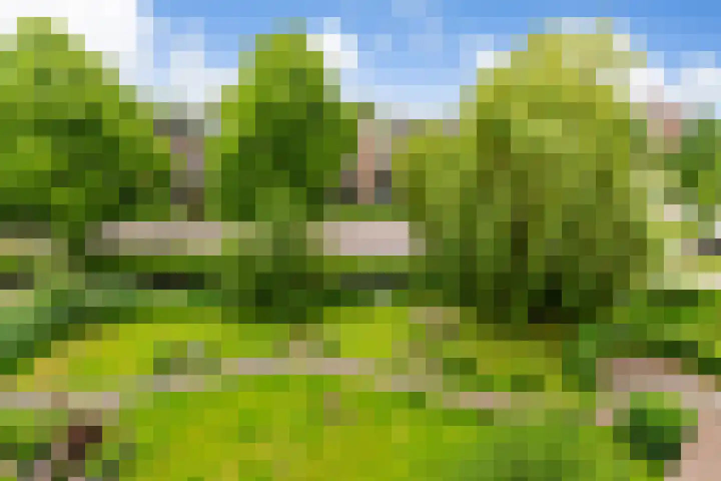 Ronsseweg 219 a Gouda thumbnail 16