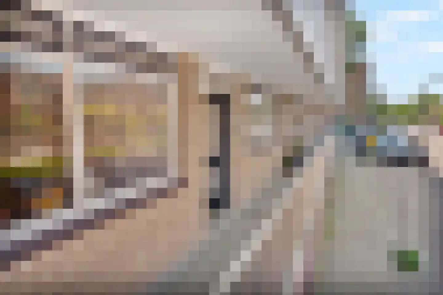 Ronsseweg 339 Gouda thumbnail 9