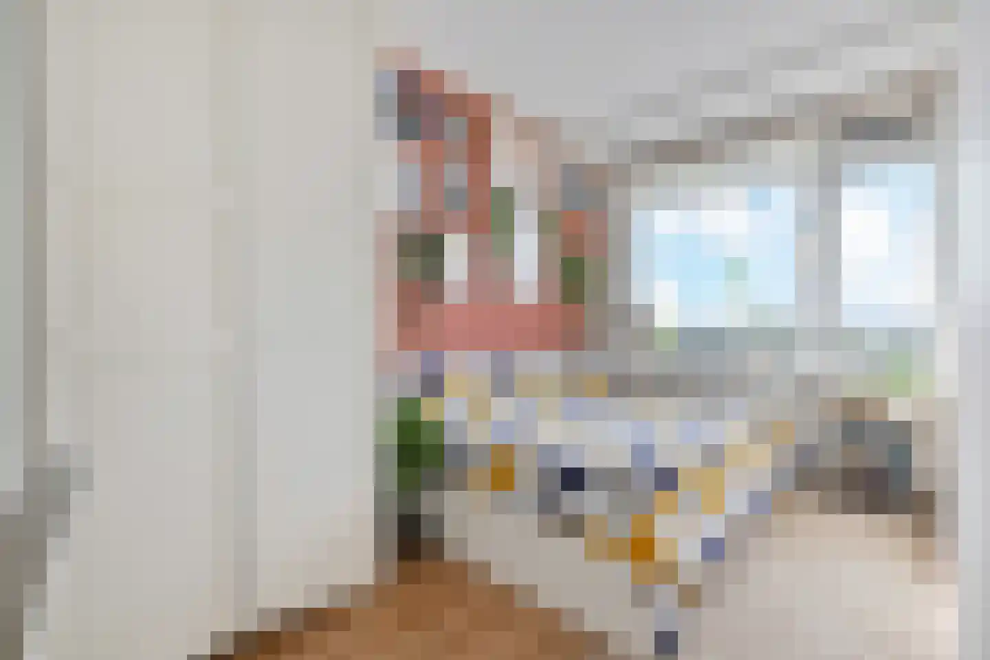 Ronsseweg 411 Gouda thumbnail 22