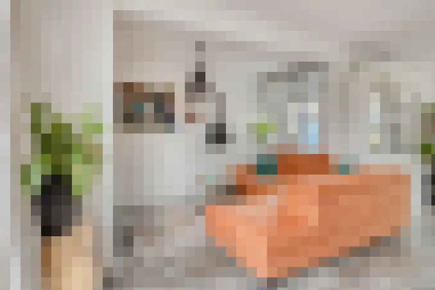 Röntgendreef 35 Maassluis thumbnail 13