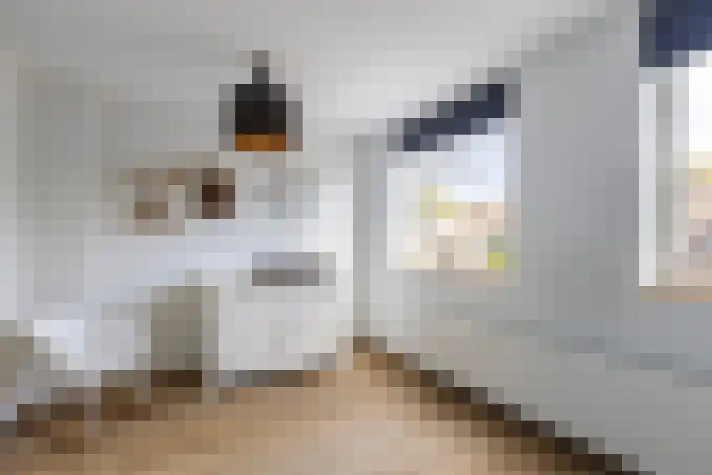 Röntgendreef 45 Maassluis thumbnail 20