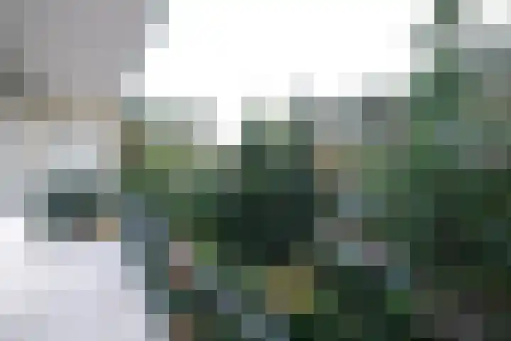Röntgenlaan 12 Ede thumbnail 10