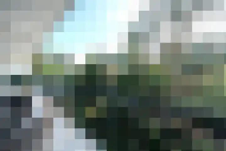 Röntgenlaan 12 Ede thumbnail 23