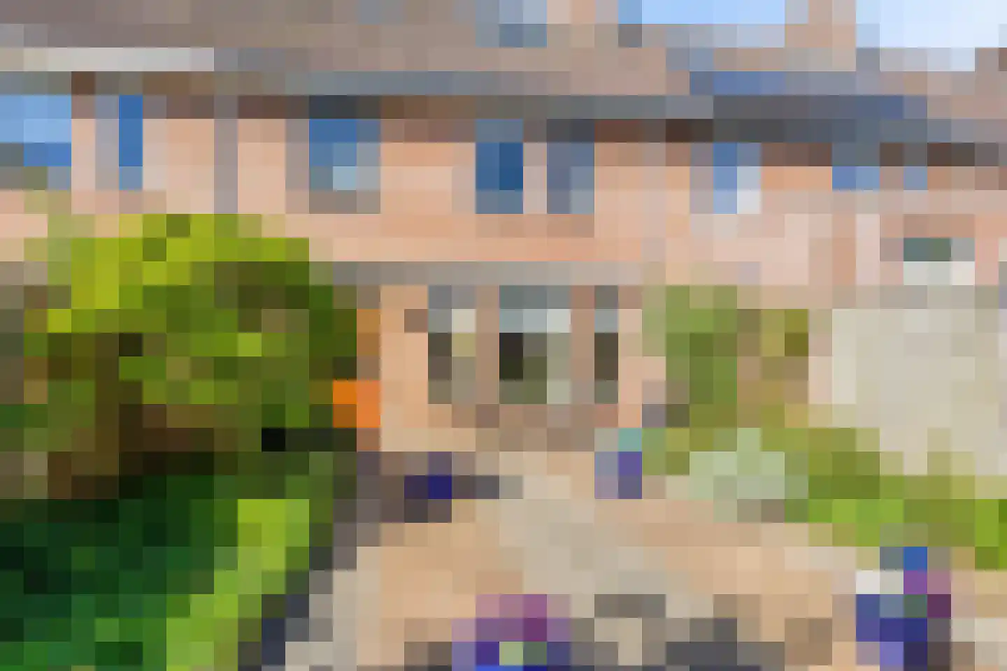 Röntgenlaan 21 Vlijmen foto 2