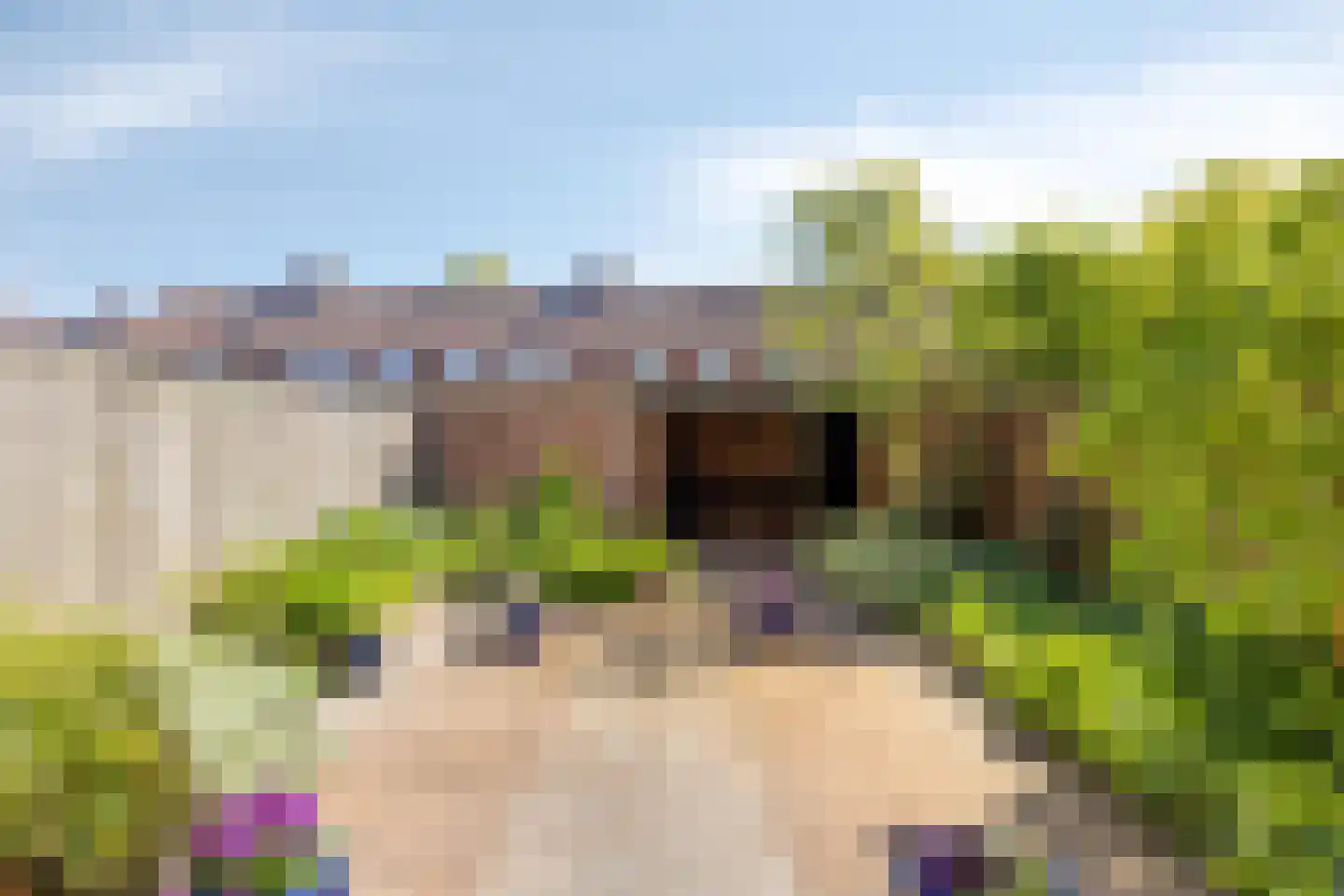 Röntgenlaan 21 Vlijmen thumbnail 4