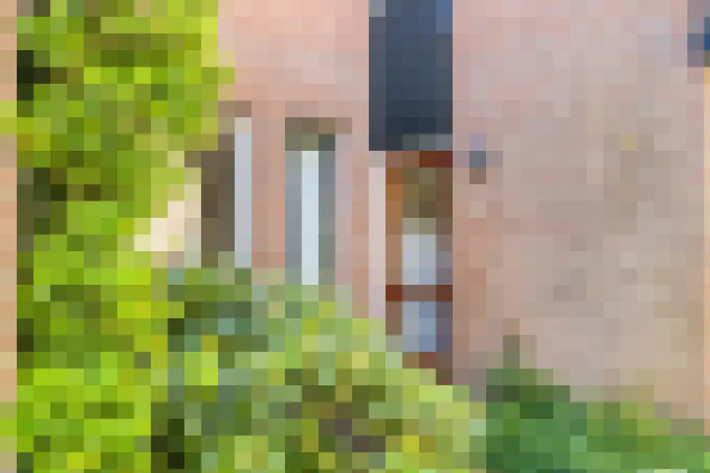 Röntgenlaan 21 Vlijmen thumbnail 5