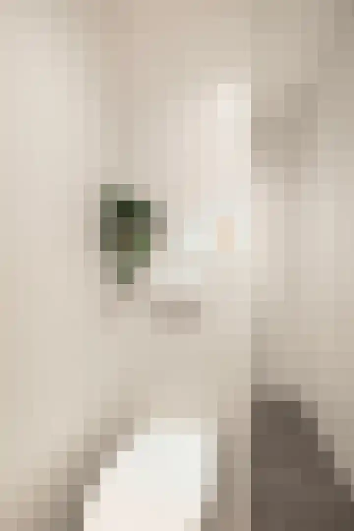 Röntgenlaan 30 Ede thumbnail 19