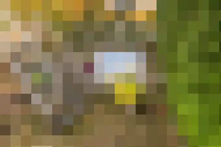 Röntgenlaan 30 Ede thumbnail 32